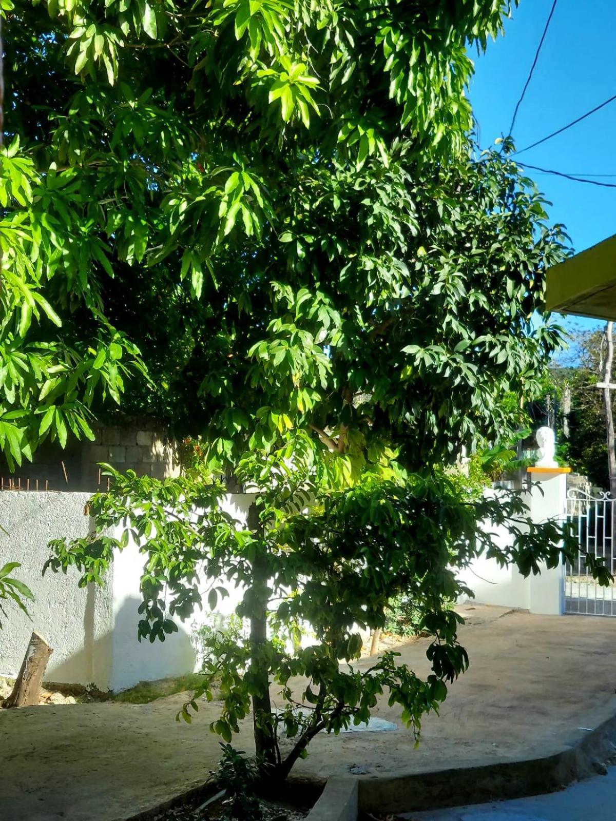 Cas Bed And Breakfast Corral Spring Esterno foto