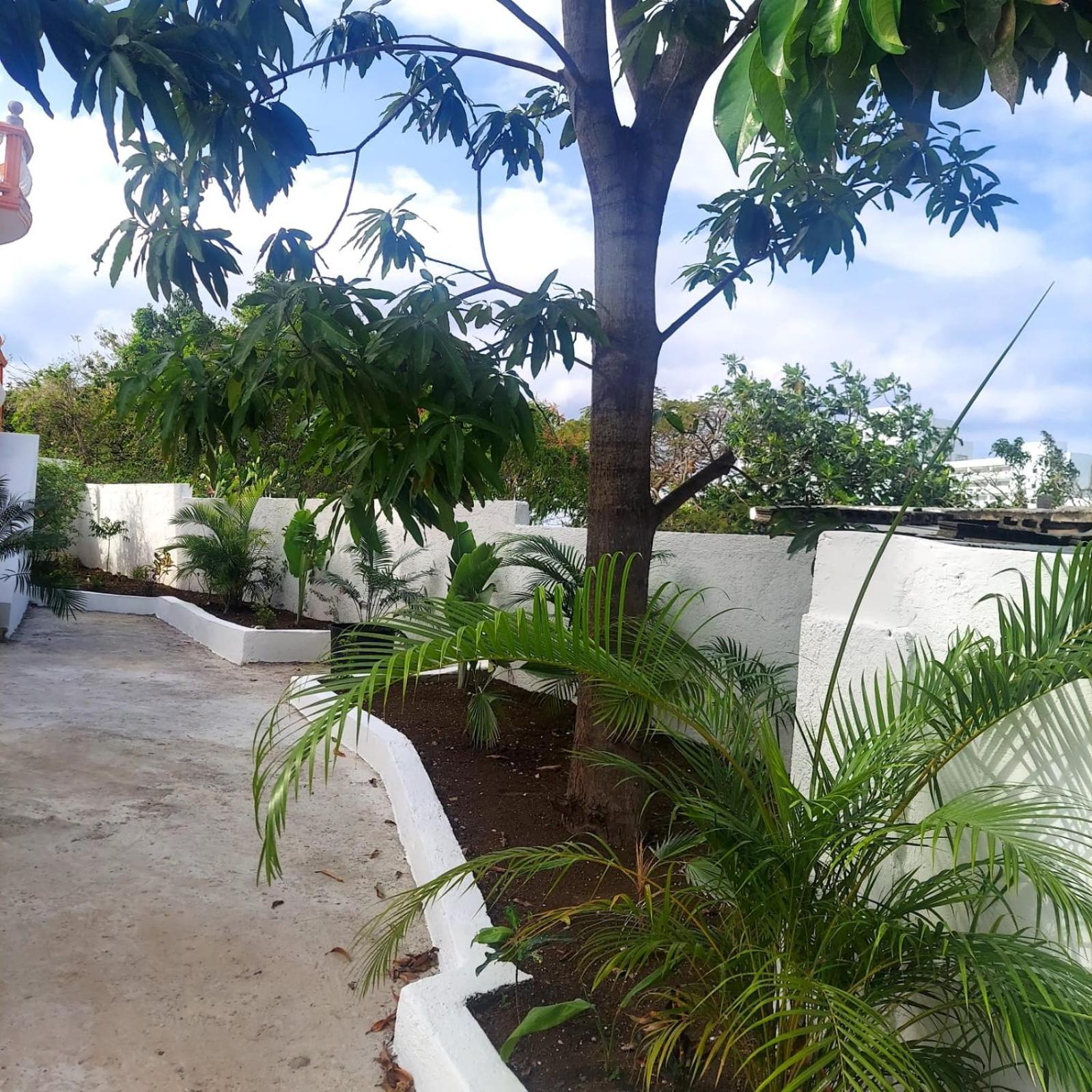 Cas Bed And Breakfast Corral Spring Esterno foto